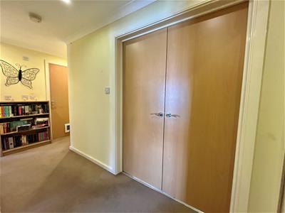 Picture 8